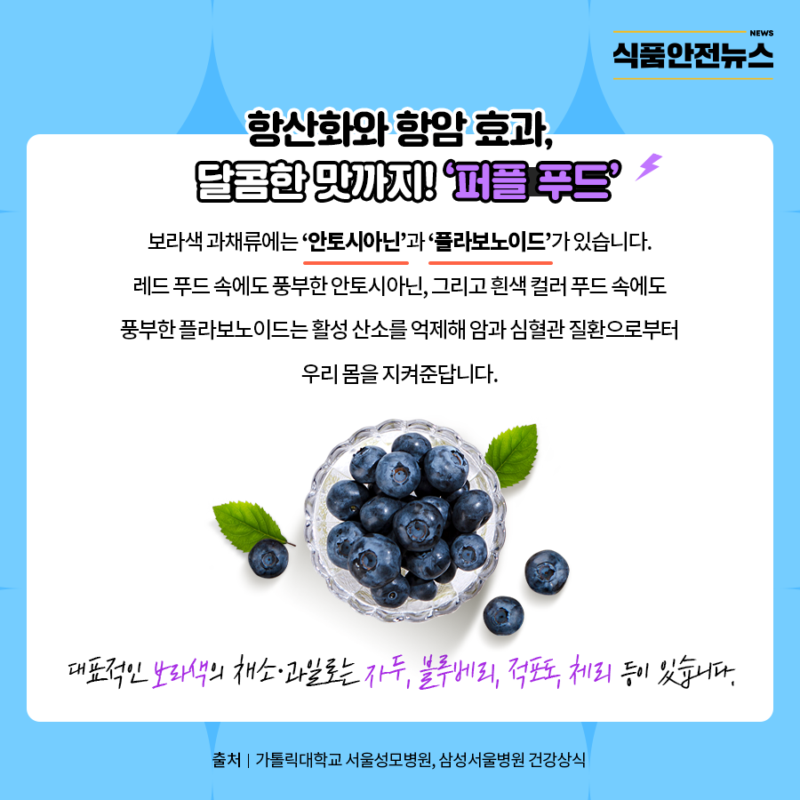 항산화와 항암 효과, 달콤한 맛까지! '퍼플 푸드'