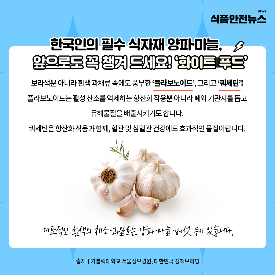 한국인의 필수 식자재 양파, 마늘 앞으로도 꼭 챙겨 드세요! '화이트 푸드'