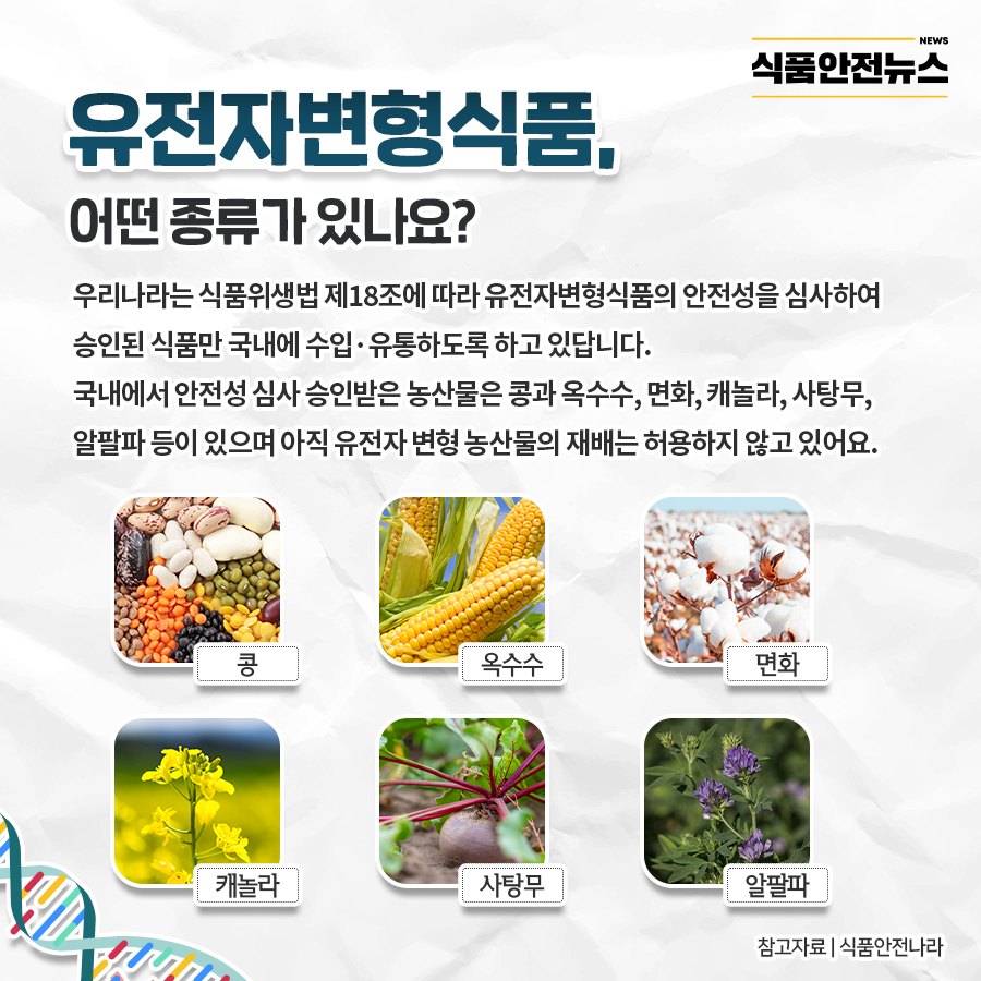 유전자변형식품, 어떤 종류가 있나요? 