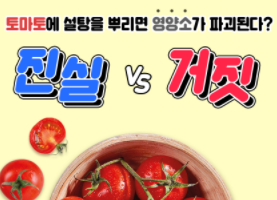 이미지 토마토에 설탕을 뿌리면 영양소가 파괴된다?