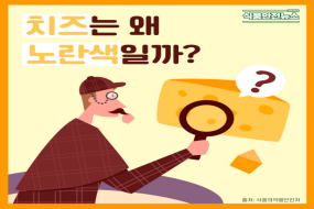 이미지 치즈는 왜 노란색일까?