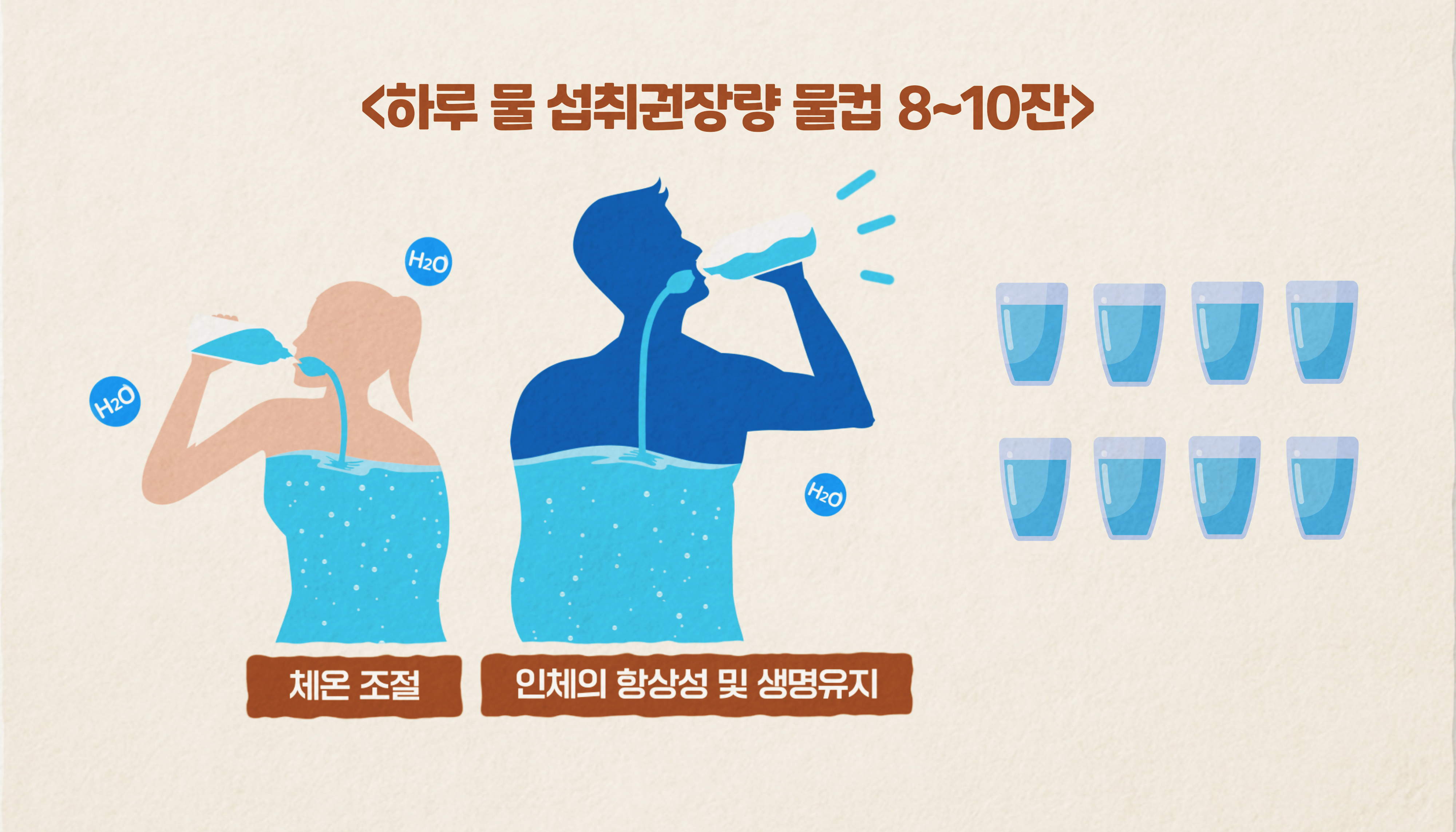 하루 물 섭취 권장량 8~10잔. 체온조절 인체의 항상성 및 생명유지 