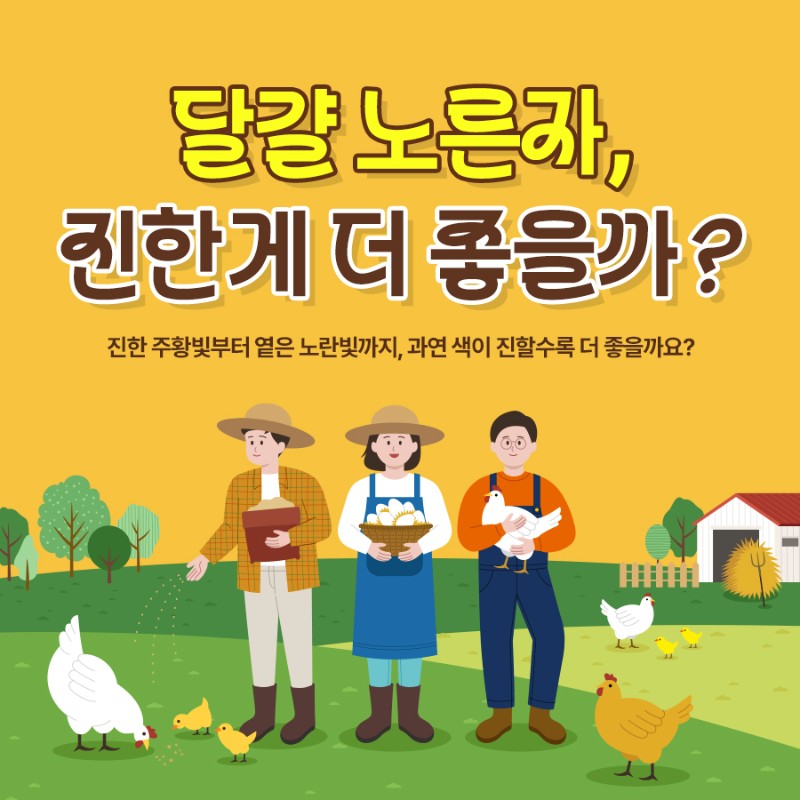 달걀 노른자, 진한게 더 좋을까?