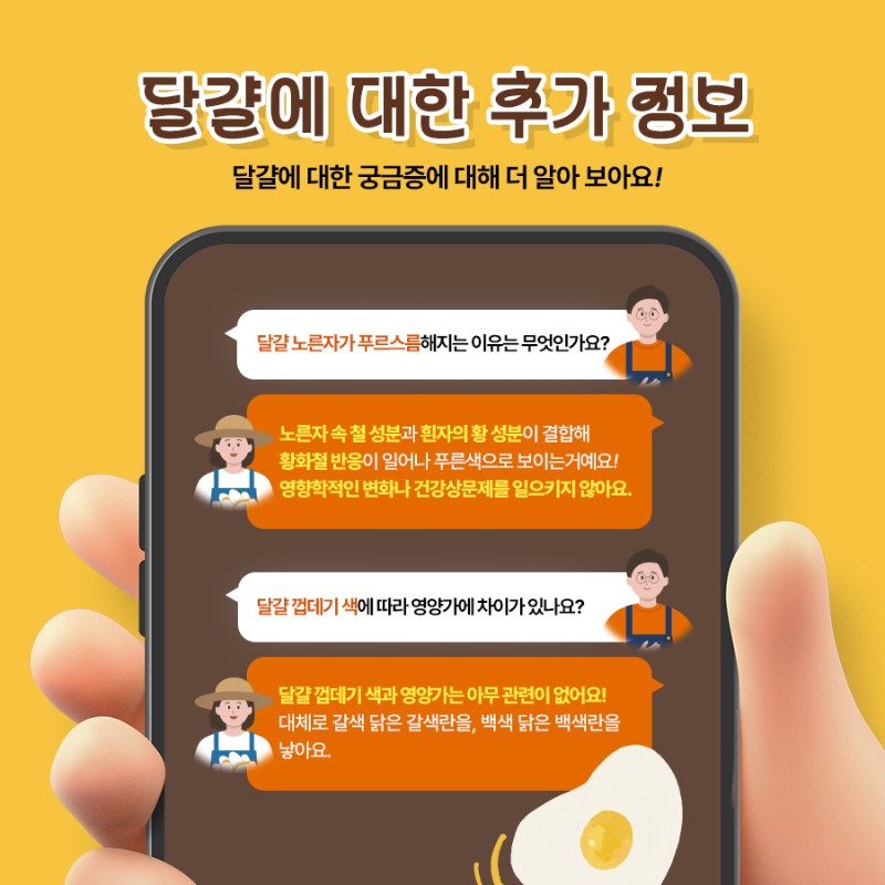 달걀에 대한 추가 정보