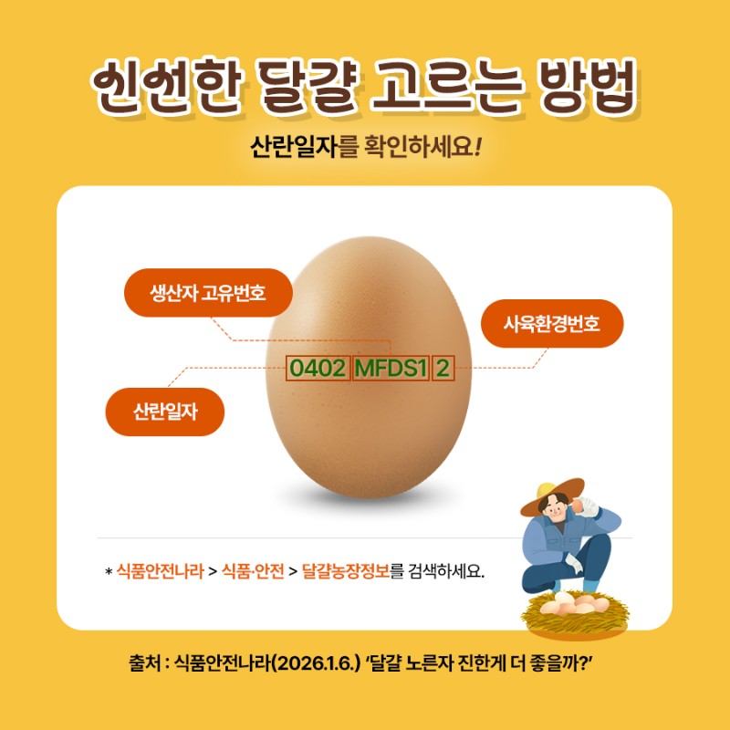 신선한 달걀 고르는 방법